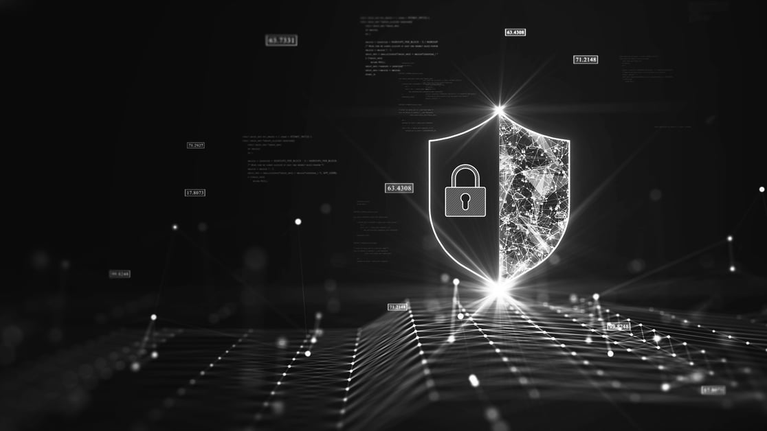 Barracuda Vulnerabilities CVE-2023-7102 & CVE-2023-7101