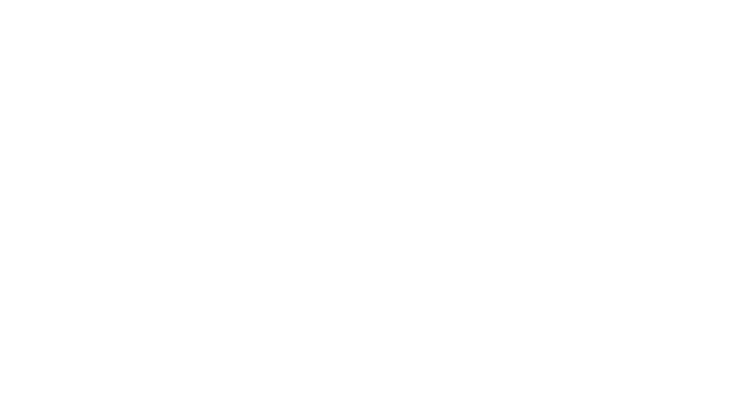 Cyber-Incident-Response-Standard-Level-1