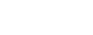 Cyberforce Icon