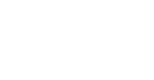 Cyber Incident Response Icon