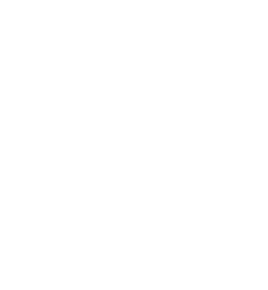 CSIR Icon