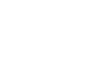 ISO IEK 27001 Icon