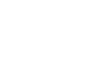 ISO2006 Icon