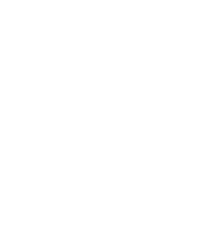 MSS Gartner 2020 Icon