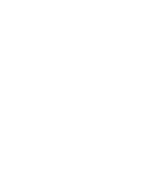 SOC Icon